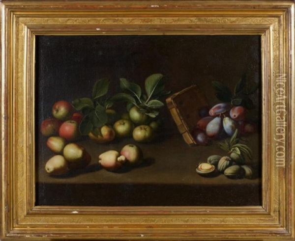Composition Aux Pommes, Prunes Et Amandes Oil Painting - Angelo Maria Rossi