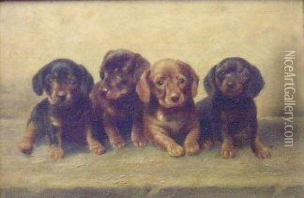 Four Dachshund Puppies In A Row Oil Painting - Carl Reichert