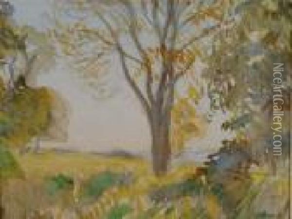 Afternoon Sunlight Oil Painting - George Clausen