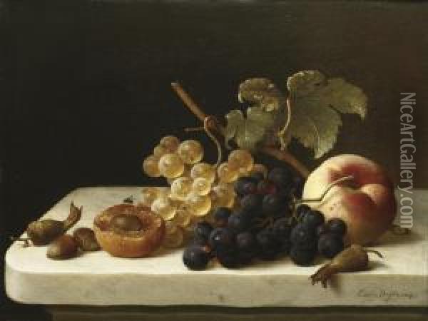 Grapes, Acorns, An Apricot And A Peach On A Marble Ledge Oil Painting - Emilie Preyer