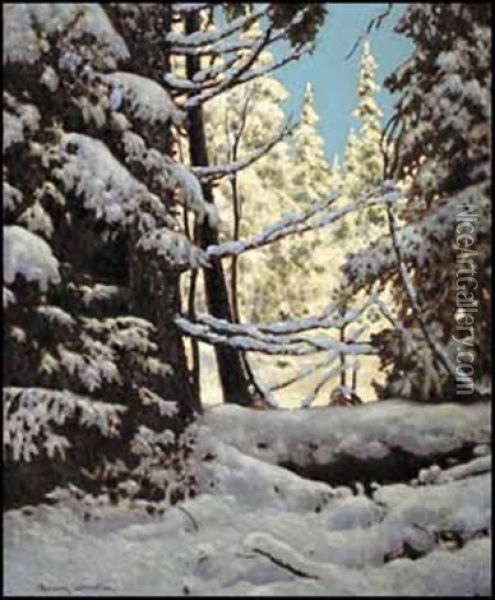 Snow Laden, Northern Ontario Oil Painting - Francis Hans Johnston