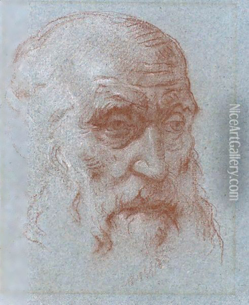 Study Of The Head Of A Bearded Man Oil Painting - Giovanni Battista Tiepolo