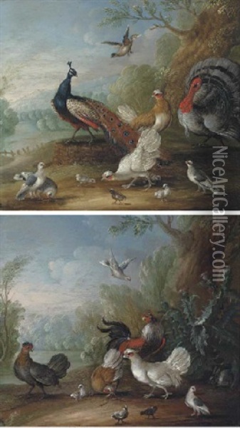 A Peacock, Doves, Chickens And A Turkey In A Landscape (+ Chickens, Doves And Cockerels In A Landscape; Pair) Oil Painting - Marmaduke Cradock