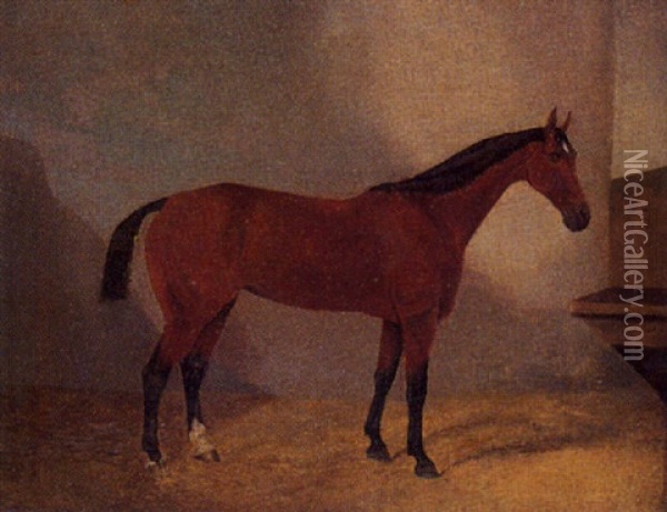Caballo Oil Painting - F. Clifton