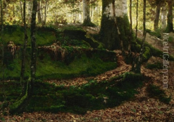 Blick In Lichten Birkenwald Oil Painting - Jean Ferdinand Monchablon