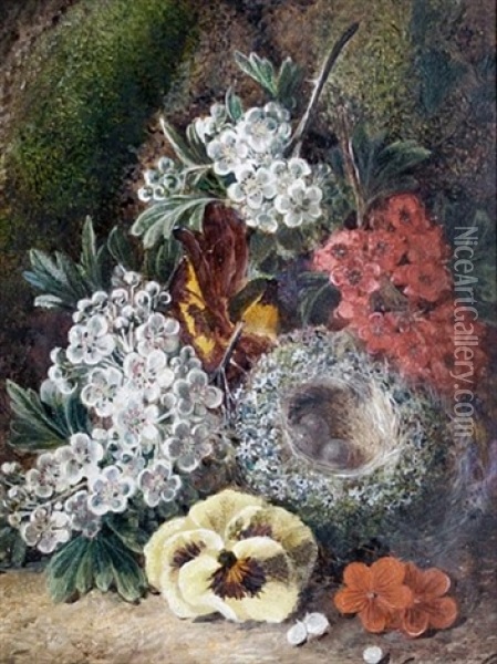 Primroses, A Birds Nest And Other Flowers On A Mossy Bank (+ Plums, Grapes And Raspberries On A Mossy Bank; Pair) Oil Painting - George Clare