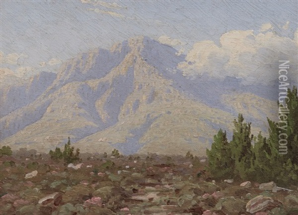 A Riversdale Mountain Oil Painting - Jan Ernst Abraham Volschenk