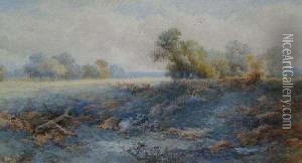 Cattle In 'sutton Park' Oil Painting - Edwin Taylor
