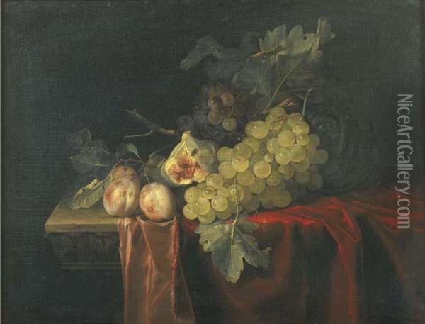 Grapes, Plums, Figs And A Melon, On A Partly Draped Stone Ledge Oil Painting - Willem Van Aelst