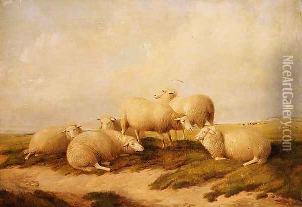 Sheep Oil Painting - Thomas Sidney Cooper