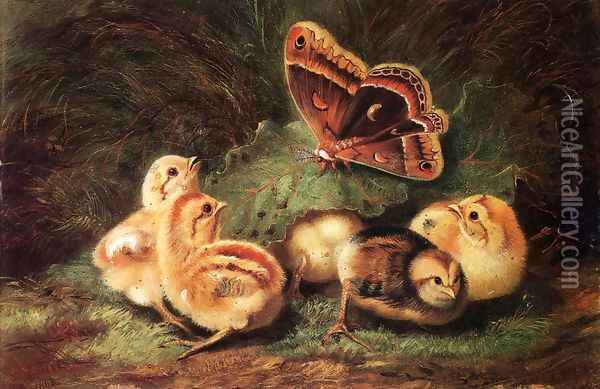 Young Chickens Oil Painting - Arthur Fitzwilliam Tait
