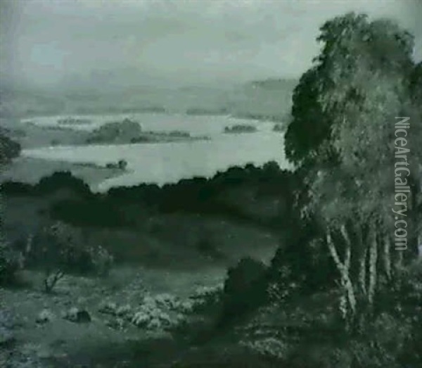 Seenlandschaft Im Vorgebirge, Im Vordergrund Weidende       Schafe Oil Painting - Theodor Graetz