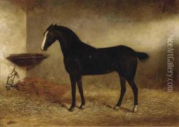 Bob, A Black Horse In A Stable Oil Painting - George Earl