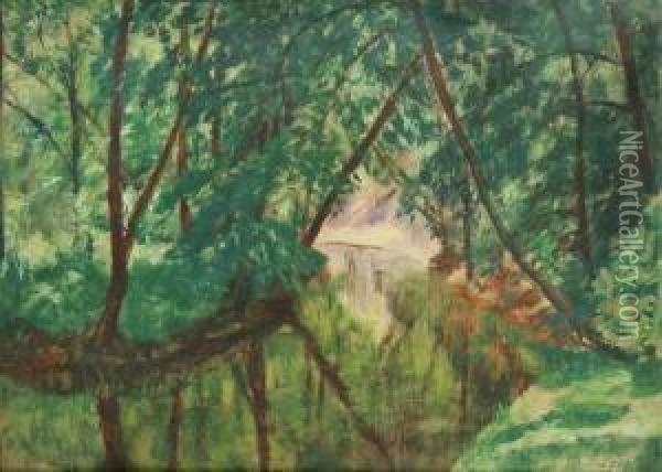 A Forest Brook Oil Painting - Antonin Hudecek