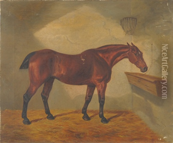 Racehorse In A Loose Box Oil Painting - Benjamin Cam Norton