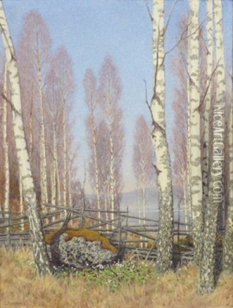 Varbjorkar Oil Painting - Gustaf Fjaestad