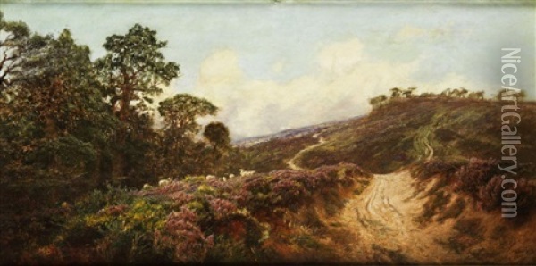 Hugelige Heidelandschaft Mit Hohlweg Und Knorrigen Kiefern Oil Painting - Frederick William Hayes
