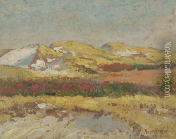 Early Fall Coloring, Sand Dunes, Annisquamis, Massachusetts Oil Painting - George Wainwright Harvey
