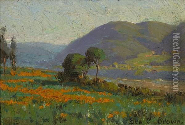 Poppy Field Near Pasadena, California Oil Painting - Benjamin Chambers Brown