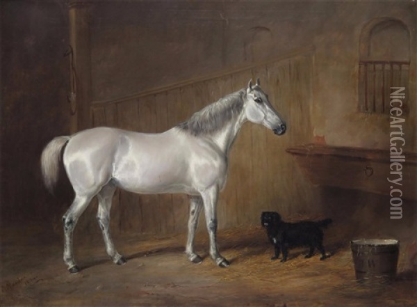 A Grey In A Stable With A Dog Oil Painting - Joseph Maiden