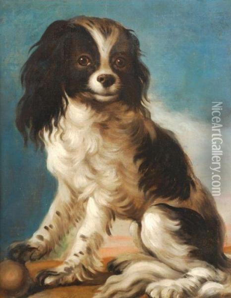 Study Of A King Charles Spaniel Oil Painting - John Wootton