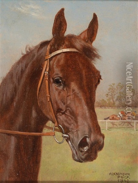 Bay Racehorse Oil Painting - Alexander Pock