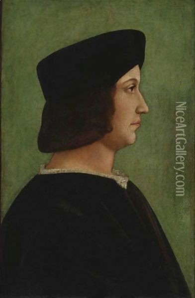 Portrait Of A Man Oil Painting - Bernardino de' Conti