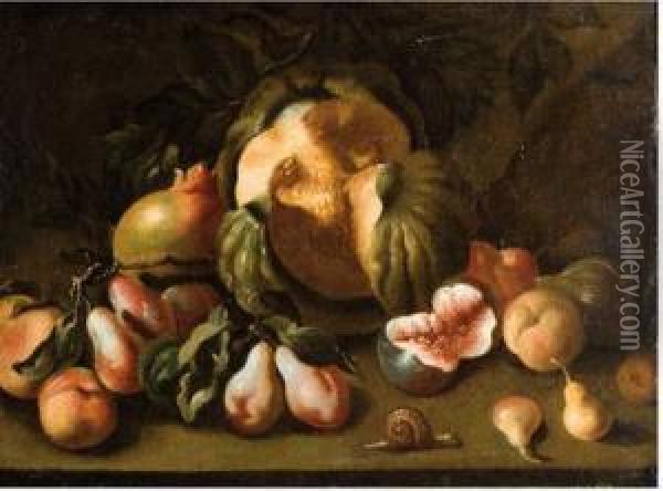 Bodegon De Frutas Y Caracol Oil Painting - Giovanni Paolo Castelli Spadino