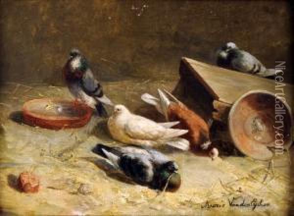 [les Pigeons] Oil Painting - Alphonse Van Der Eycken