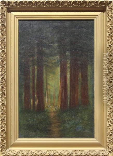 Redwood Scene Ii Oil Painting - Jules Tavernier