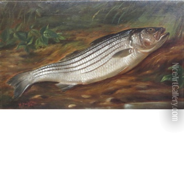 Trout Oil Painting - Wakeman Holberton