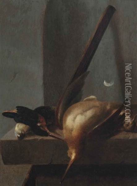 A Woodcock, A Kingfisher, A Thrush And A Greattit On A Stone Ledge Oil Painting - Jan Vonck
