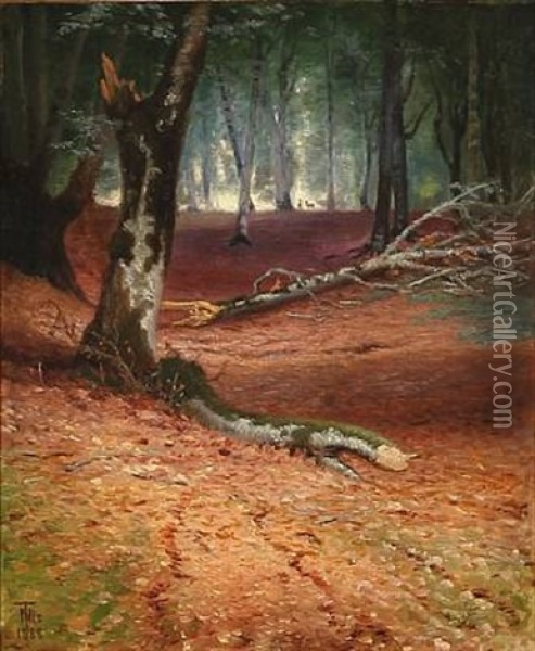 Autumn Forest Scene Oil Painting - Thorvald Simeon Niss