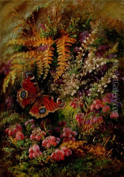 Klockljung Och Pafagelsoga Oil Painting - Albert Durer Lucas
