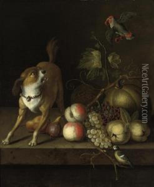 A Dog, A Blue Tit And A Parakeet With Grapes, Peaches, Pears Andpumkins On A Ledge Oil Painting - Jakob Bogdani Eperjes C