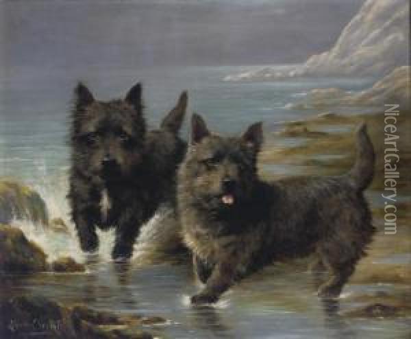 Two Cairn Terriers On The Shore Oil Painting - Lilian Cheviot