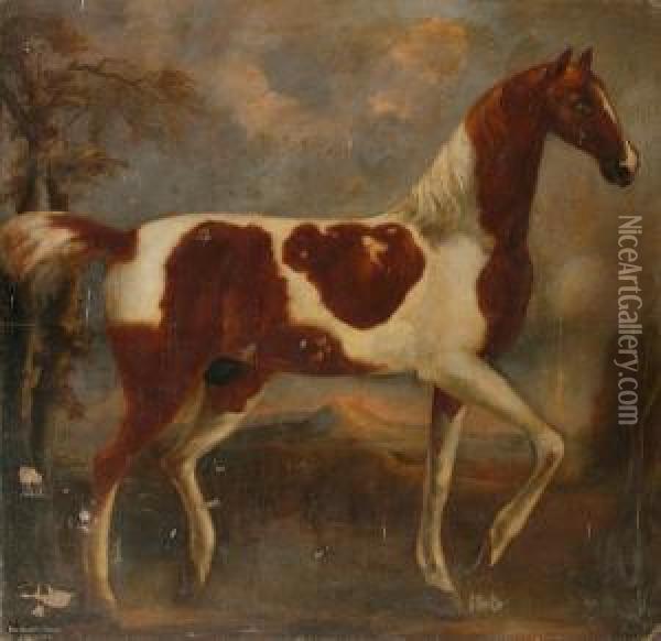 A Portrait Of Ned Baldry's Shell Horse Oil Painting - Thomas Bardwell