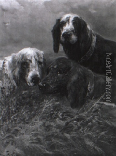 Drei Jagdhunde, Deren Kopfe Aus Dem Gras Hervorschauen Oil Painting - Henry Schouten
