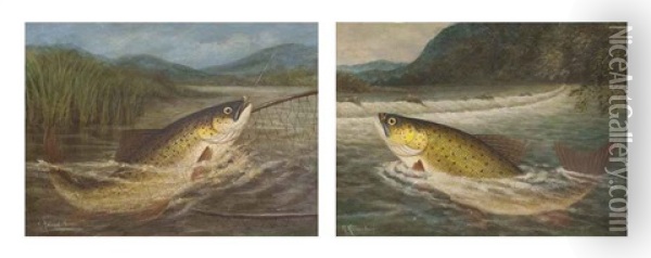 Taking The Fly (+ The Fly Fisherman's Net; Pair) Oil Painting - A. Roland Knight