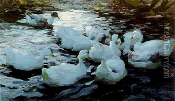 Enten Auf Einem Teich Oil Painting - Alexander Max Koester