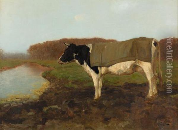 Kuh Am Kanalufer. Oil Painting - Petrus Johannes Corn Franken