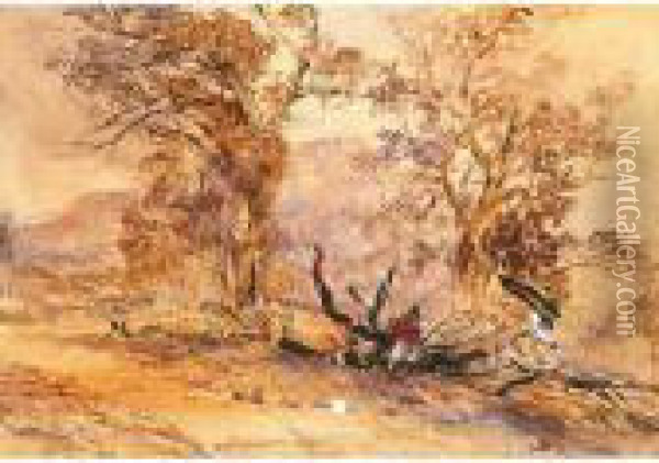 Traveller Seated On A Fallen Tree Oil Painting - John Skinner Prout