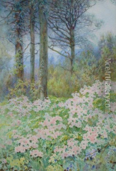 'the Cuckoo Flower' (morley's Farm Weald) Oil Painting - Edith Helena Adie