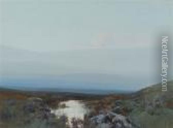 A Moorland Stream Oil Painting - Frederick John Widgery