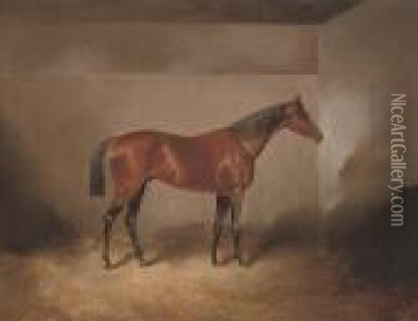 A Bay Hunter In A Stable Oil Painting - James Scott Kinnear
