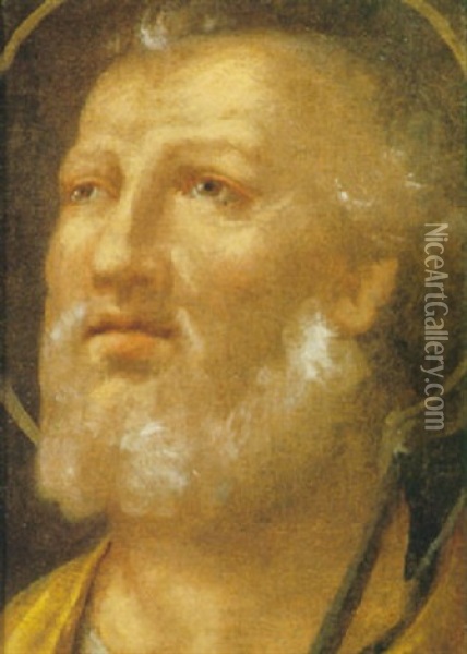 Testa Di Santo Oil Painting - Andrea Mantegna