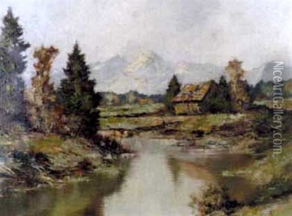 Moor Altwasser Bei Bad Kohlgrub Oil Painting - Carl Reiser