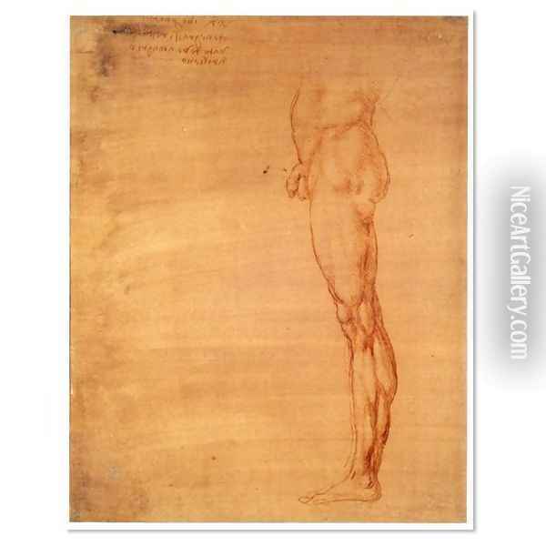 The Abdomen and Leg of a Man Oil Painting - Leonardo Da Vinci