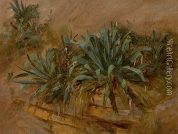 Study Of Plants On A Rocky Wall Oil Painting - Thomas Hiram Hotchkiss