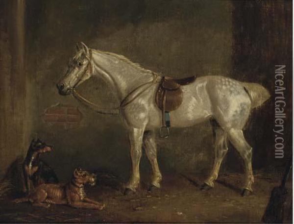 A Saddled Grey With Terriers In A Stable Oil Painting - Henry S. Cottrell